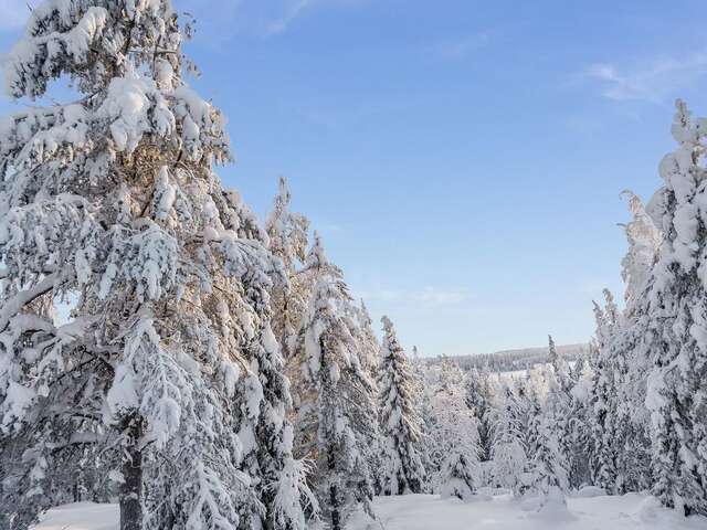Дома для отпуска Holiday Home Kelovalta 7b Рука-17